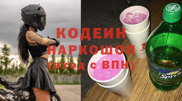 молекула духа Каменногорск