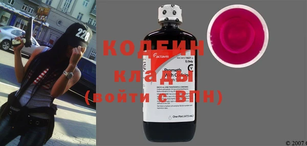 ГАЛЛЮЦИНОГЕННЫЕ ГРИБЫ Каменка