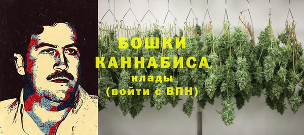 молекула духа Каменногорск