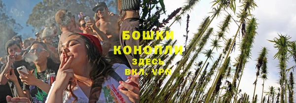 ГАЛЛЮЦИНОГЕННЫЕ ГРИБЫ Каменка
