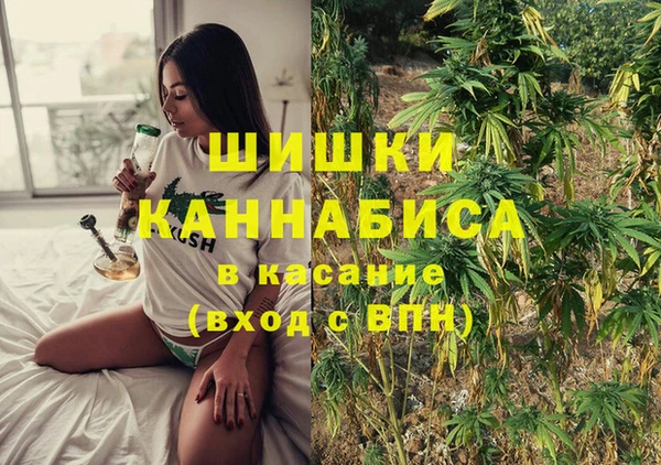 ГАЛЛЮЦИНОГЕННЫЕ ГРИБЫ Каменка