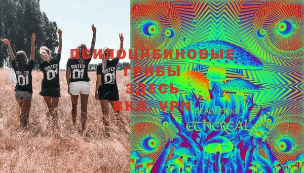 МДПВ Карпинск