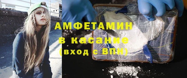 молекула духа Каменногорск