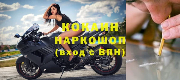 ГАЛЛЮЦИНОГЕННЫЕ ГРИБЫ Каменка