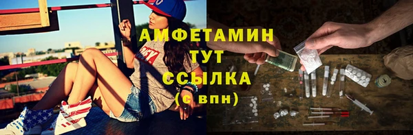 молекула духа Каменногорск