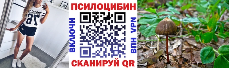 купить   Волжский  Галлюциногенные грибы мухоморы 